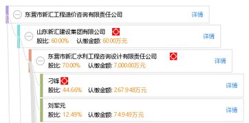 東營(yíng)市新匯工程造價(jià)咨詢(xún)有限責(zé)任公司的專(zhuān)業(yè)工程造價(jià)咨詢(xún)服務(wù)